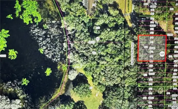 533 N Woodlake Avenue, Inverness, FL 34453
