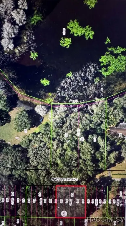 533 N Woodlake Avenue, Inverness, FL 34453 - Image #2