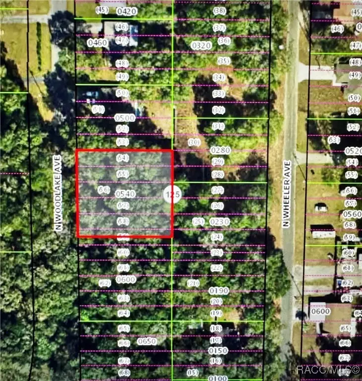 533 N Woodlake Avenue, Inverness, FL 34453 - Image #3
