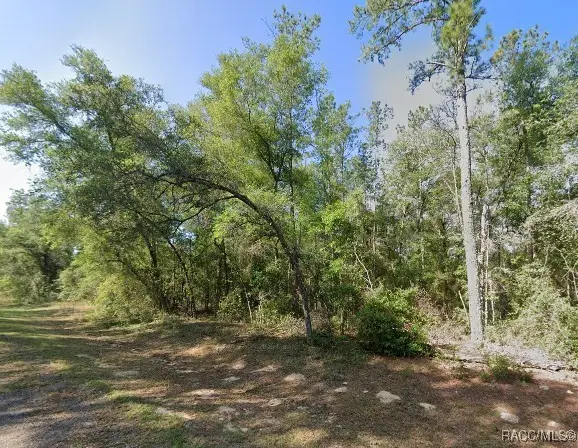 502 E Avondale Drive, Citrus Springs, FL 34434 - #3