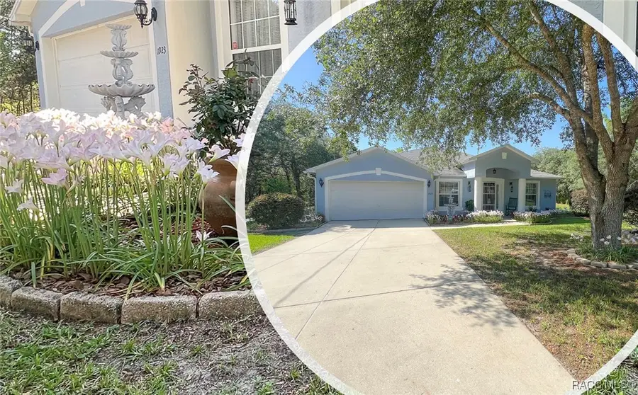 1923 W Mcneal Drive, Citrus Springs, FL 34434 - #3