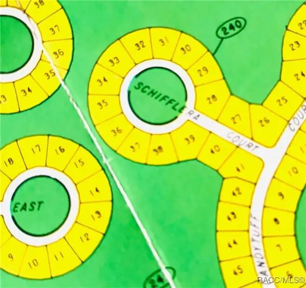 6 Schefflera Court, Homosassa, FL 34446