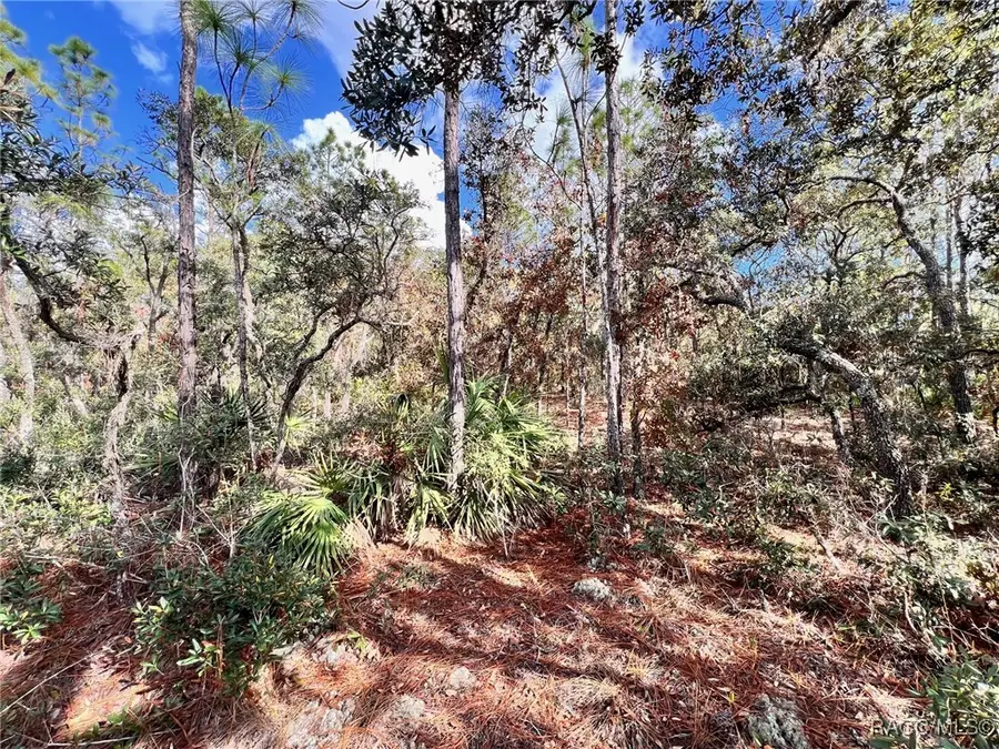 6328 W Pine Ridge Boulevard, Beverly Hills, FL 34465 - #3