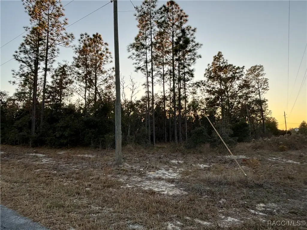 TBD SW Sea Cliff Avenue, Dunnellon, FL 34431 - Image #1