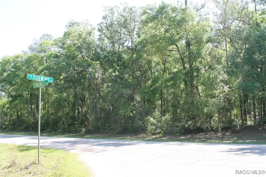 532 W G Martinelli Boulevard, Citrus Springs, FL 34434 - #2