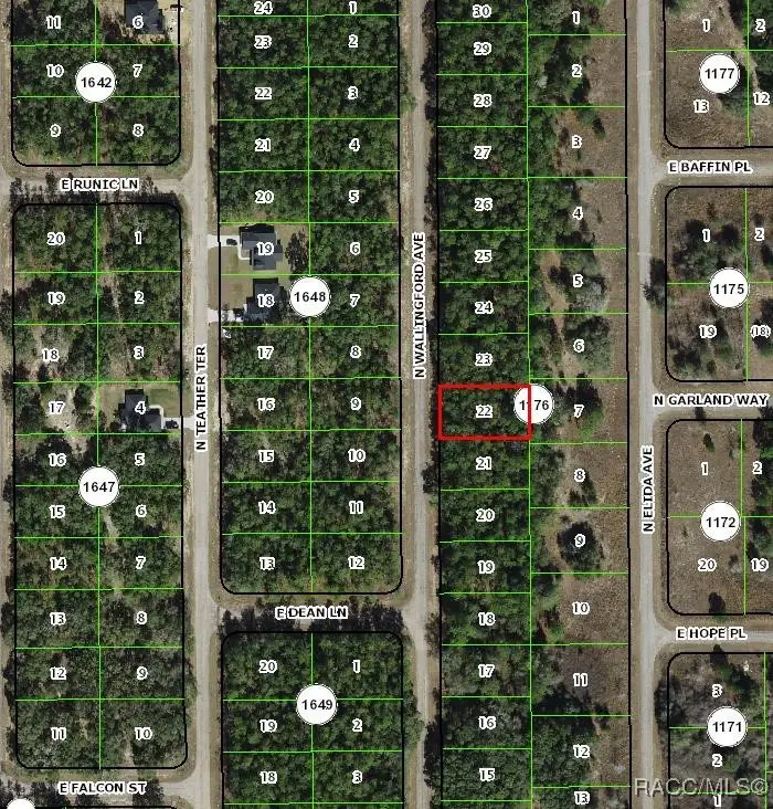 8645 N Wallingford Avenue, Citrus Springs, FL 34434 - #1