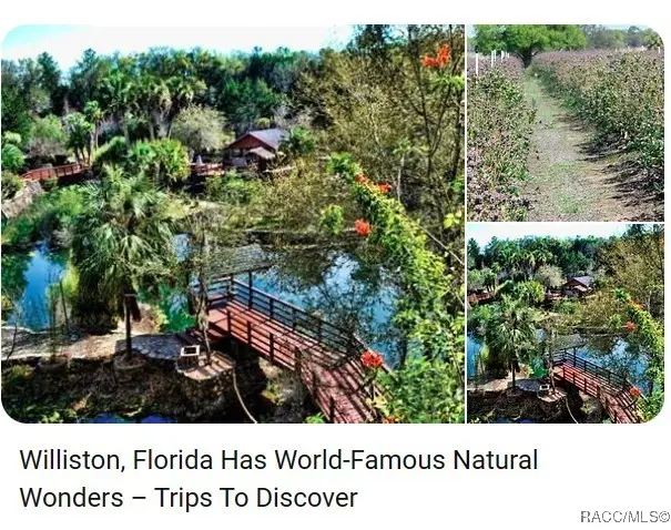 691 NE 112th Avenue, Williston, FL 32696 - Image #2