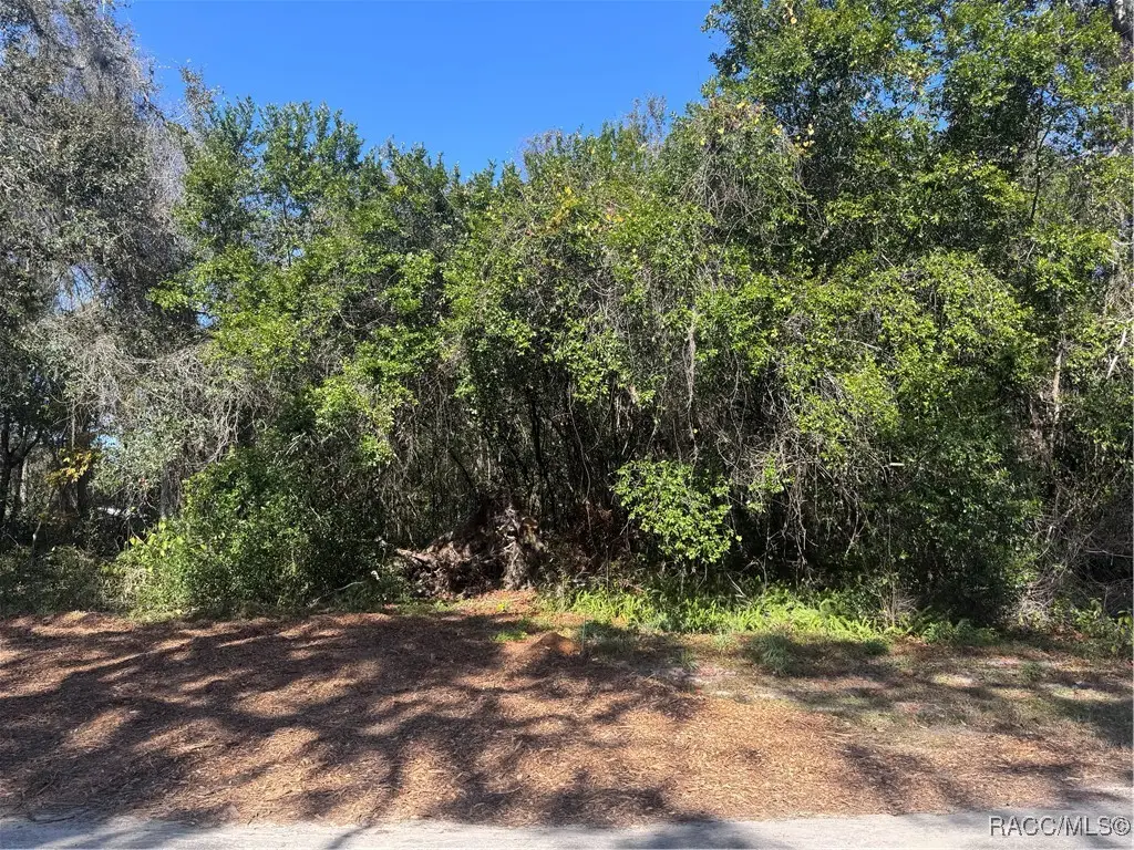 1254 N Magnolia Hill Way, Inverness, FL 34453 - Image #1