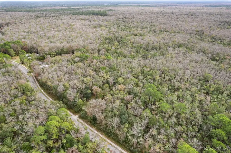 9266 and 9248 W Yulee Drive, Homosassa, FL 34448 - Image #3