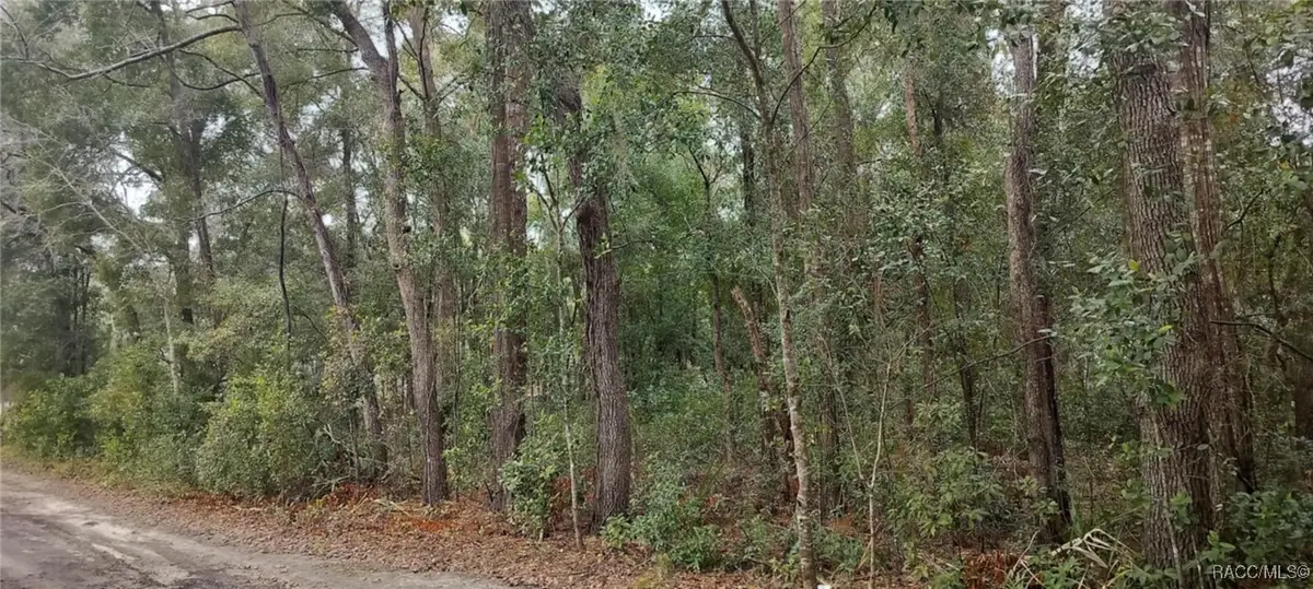 1221 E Rhapsody Lane, Hernando, FL 34442 - Image #1