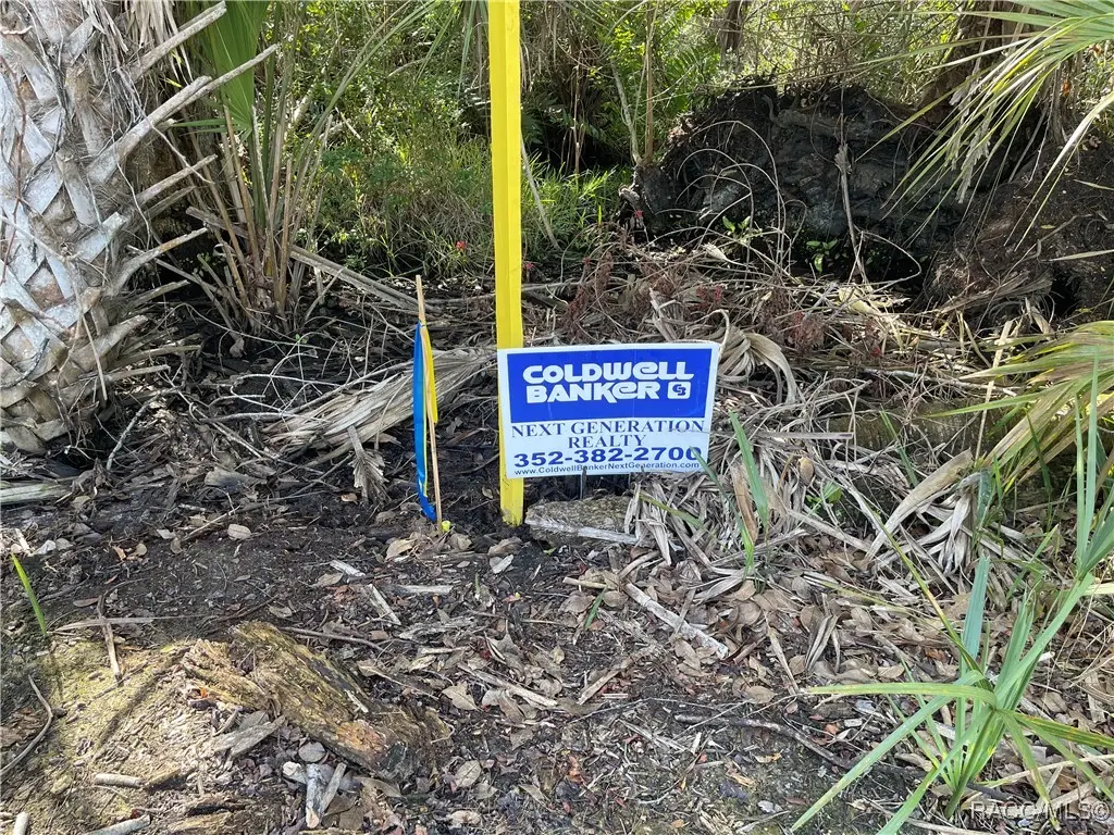 10714 W Marker Path, Homosassa, FL 34448 - Image #1