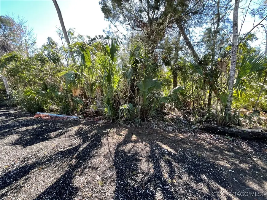 10714 W Marker Path, Homosassa, FL 34448 - Image #2