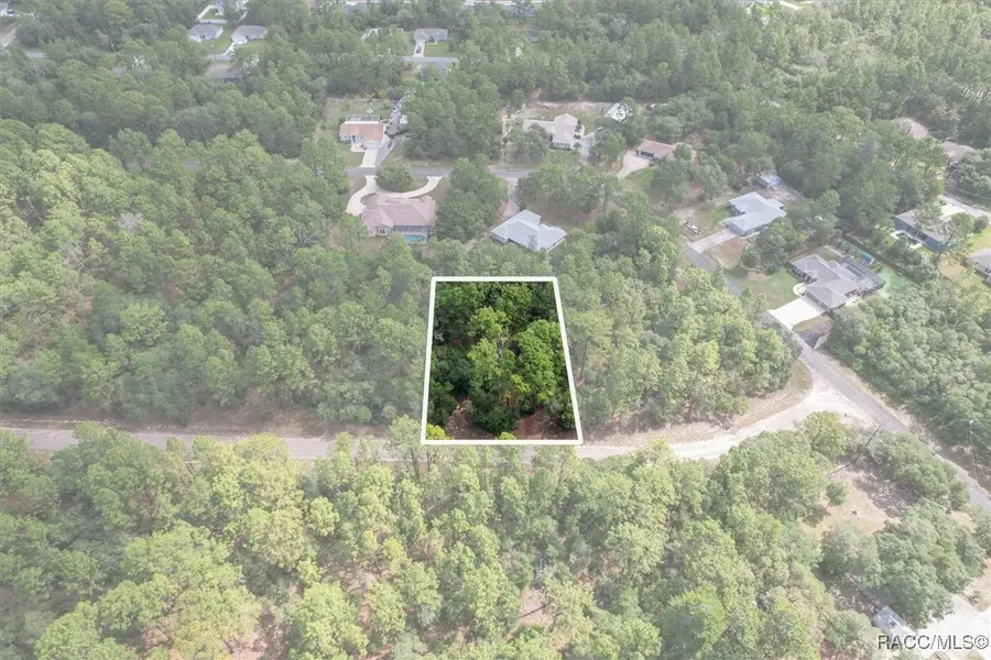 3621 W Norwick Place, Dunnellon, FL 34433 - #2