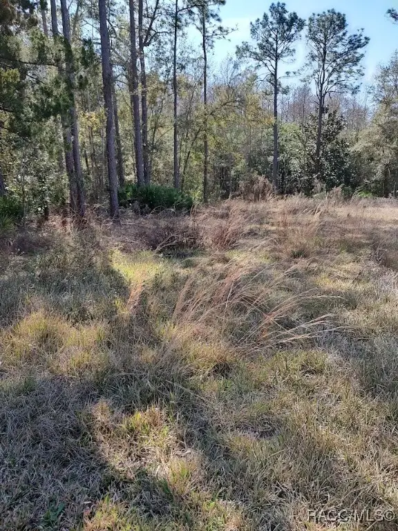 7636 Narcissus Lane, Homosassa, FL 34448 - Image #2