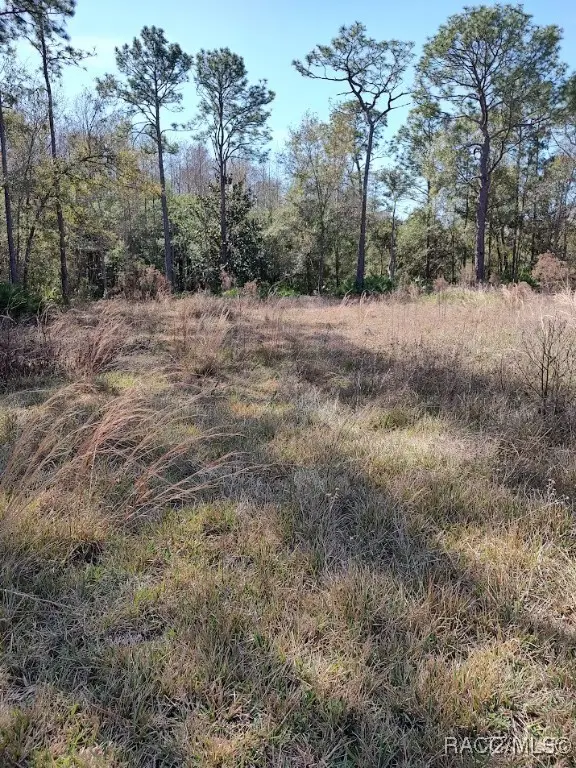 7636 Narcissus Lane, Homosassa, FL 34448 - Image #3