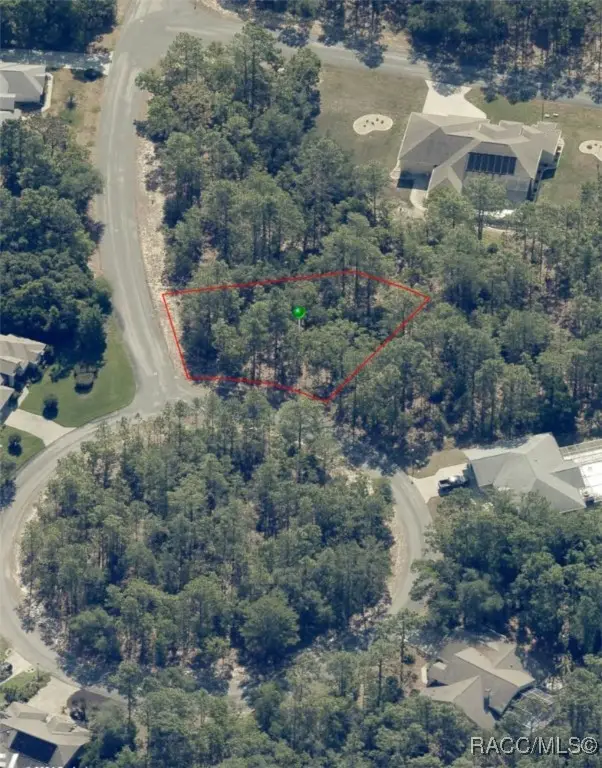 7 Drypetes Court W, Homosassa, FL 34446 - Image #2
