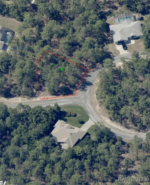 7 Drypetes Court W, Homosassa, FL 34446 - Image #3