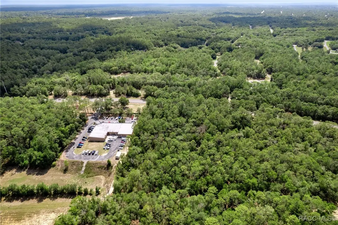 10523 N Florida Avenue, Citrus Springs, FL 34434 - Image #1