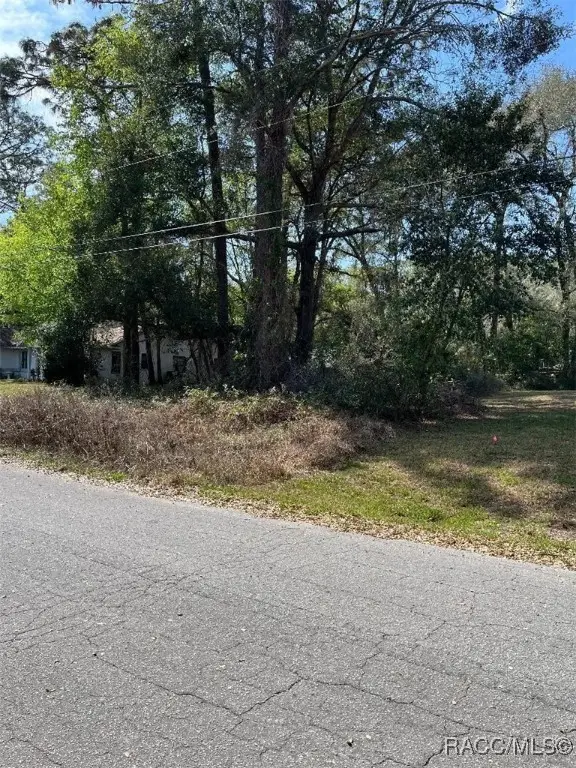 3900 S Ivanhoe Terrace, Inverness, FL 34452 - Image #2