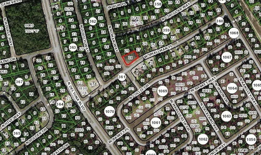 989 W Smallman Place, Citrus Springs, FL 34434 - #3