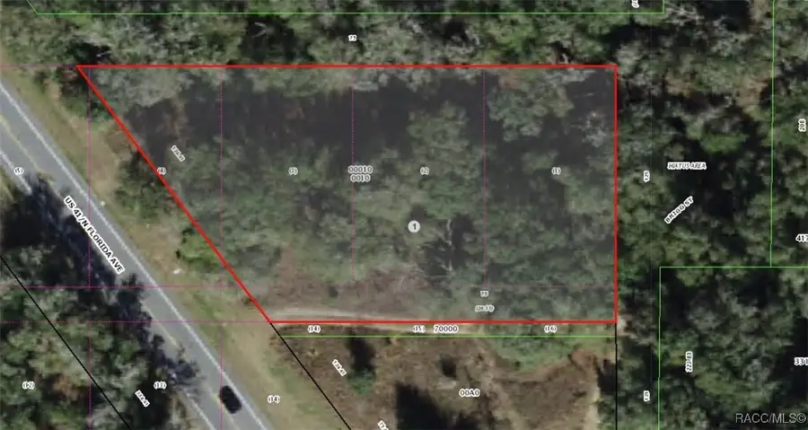 994 E Keighley Lane, Pine Ridge, FL 34445 - Image #2