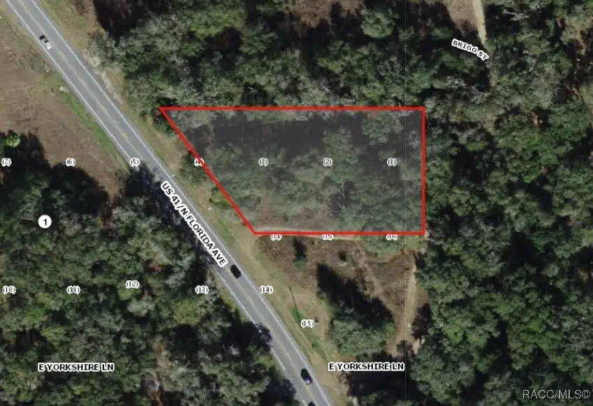 994 E Keighley Lane, Pine Ridge, FL 34445 - Image #3