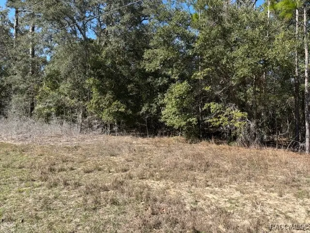 497 W Hummingbird Drive, Citrus Springs, FL 34434 - #2