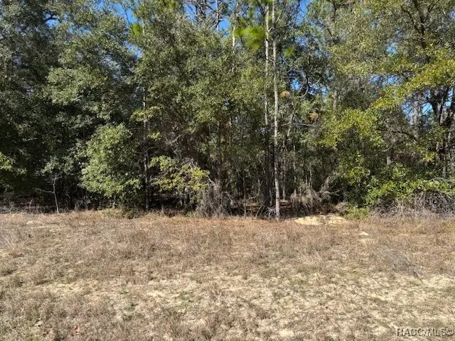 497 W Hummingbird Drive, Citrus Springs, FL 34434 - #3