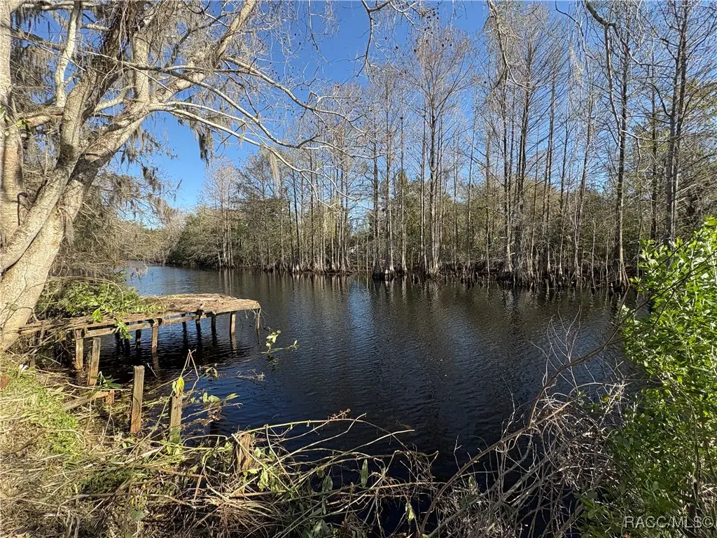 10500 E Gobbler Drive, Floral City, FL 34436 - Image #1