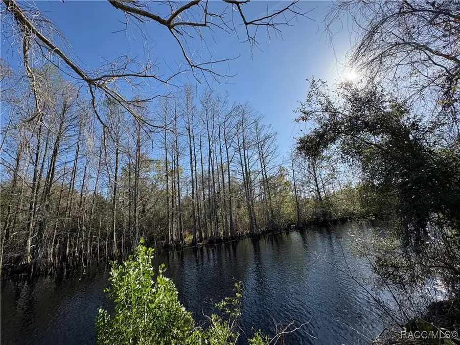 10500 E Gobbler Drive, Floral City, FL 34436 - Image #2