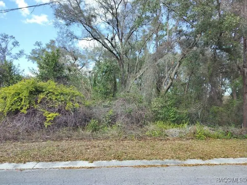 204 Adelphi Street, Inverness, FL 34452 - Image #2