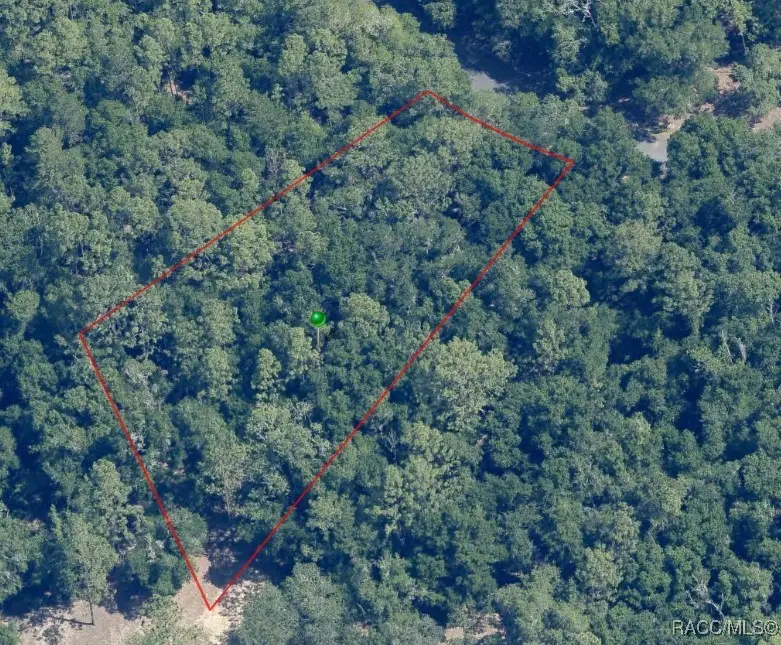 8276 N Orton Way, Citrus Springs, FL 34434 - #2