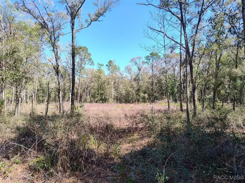 3491 E Stage Coach Trail, Inverness, FL 34452 - Image #1