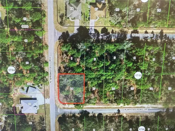 6585 W Whispering Drive, Dunnellon, FL 34434