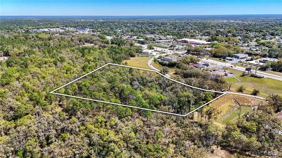 2403 W Coast Path, Beverly Hills, FL 34465 - Image #3