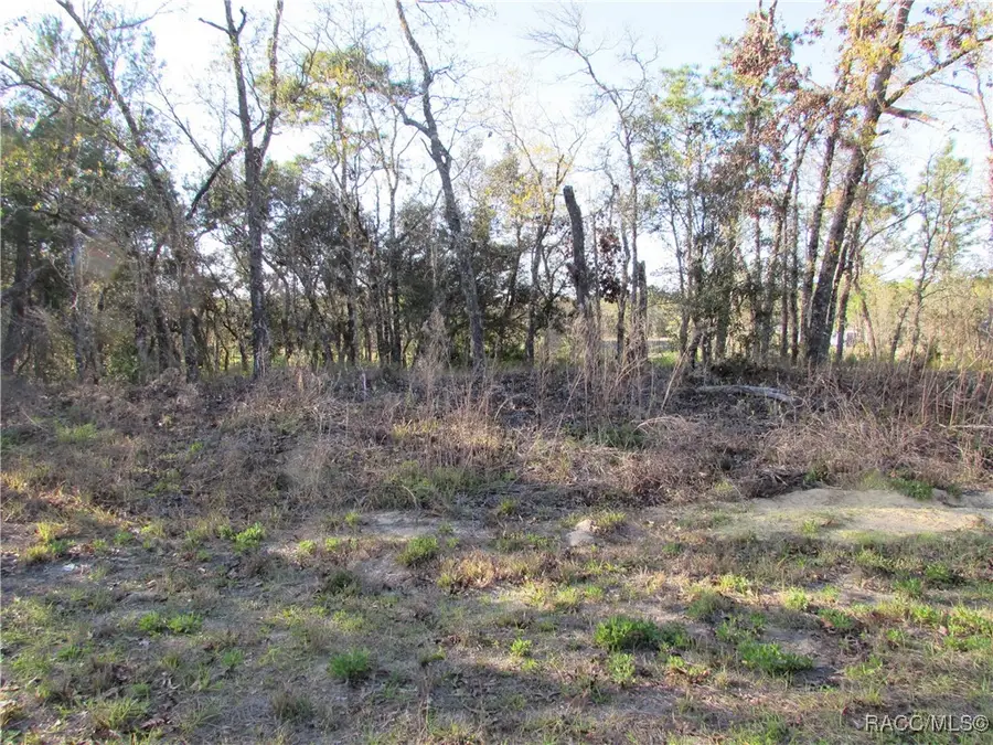 1255 W Nankeen Drive, Pine Ridge, FL 34434 - Image #2