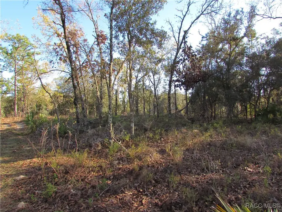 1255 W Nankeen Drive, Pine Ridge, FL 34434 - Image #3