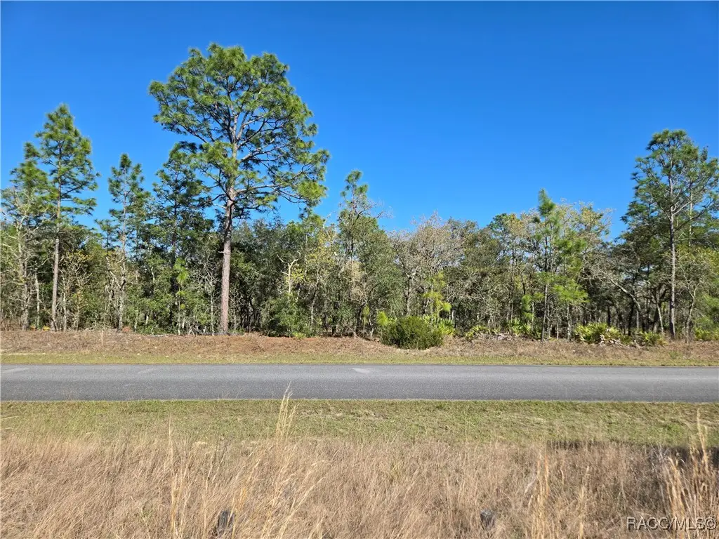 6493 N Pembroke Terrace, Citrus Springs, FL 34434 - #1