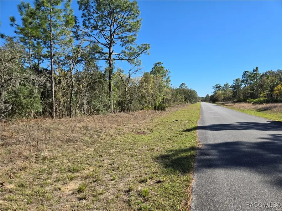 6499 N Pembroke Terrace, Citrus Springs, FL 34434 - #2