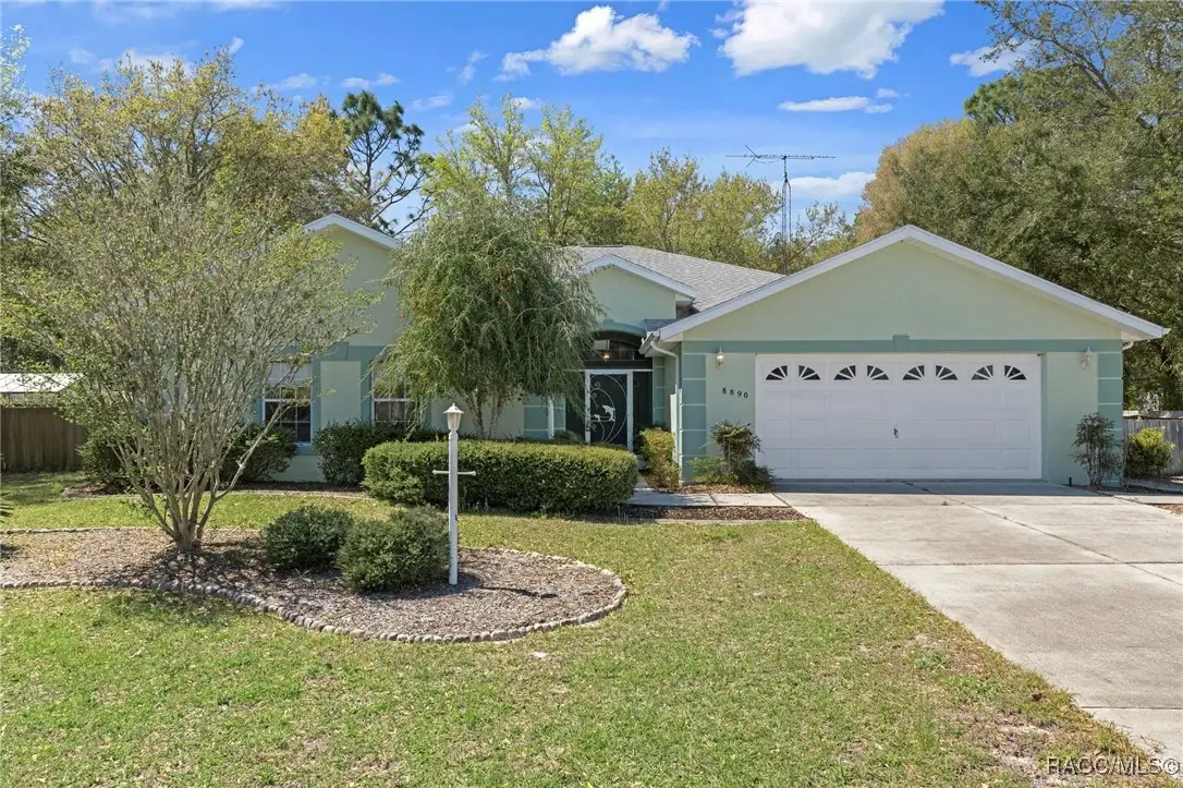 8890 N Amboy Drive, Citrus Springs, FL 34433 - #1