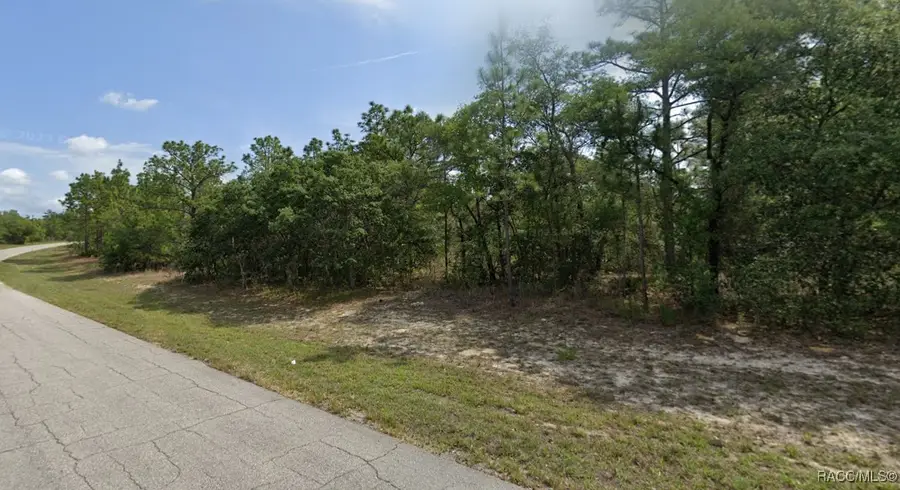 6686 N Bedstrow Boulevard, Pine Ridge, FL 34434 - #2