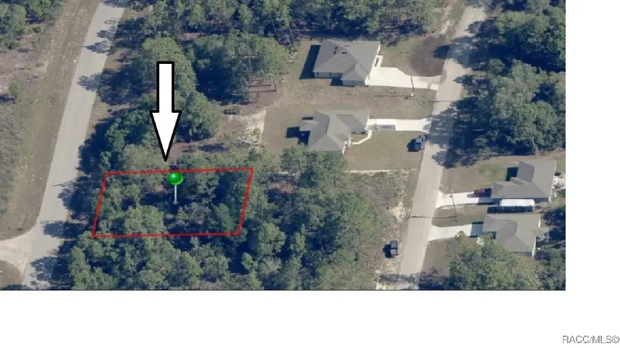 6686 N Bedstrow Boulevard, Pine Ridge, FL 34434 - #3