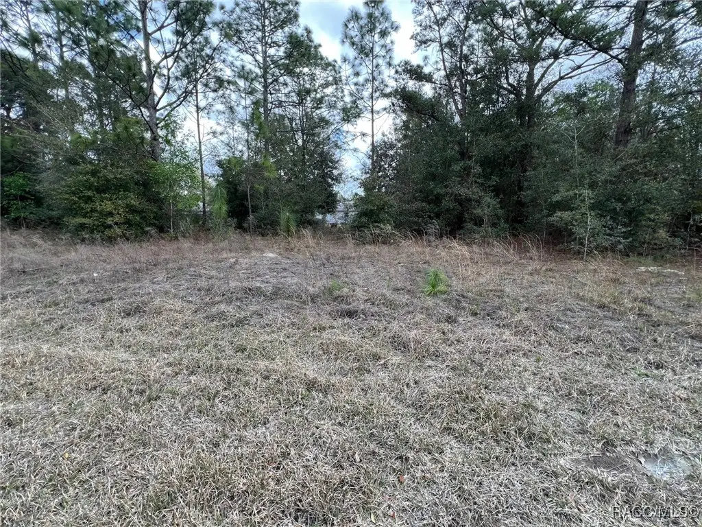 8699 N Discalfani Loop, Crystal River, FL 34428 - #1