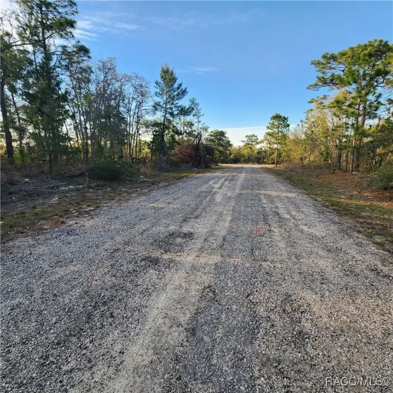 6673 N Libby Terrace, Dunnellon, FL 34433 - #3