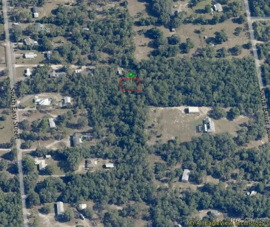 1133 W Cushman Court, Lecanto, FL 34461 - #1