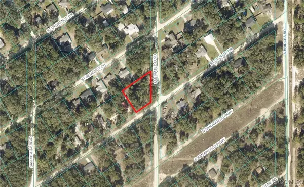 LOT #228 & #229 St. George Drive & San Mateo Boulevard, Dunnellon, FL 34432
