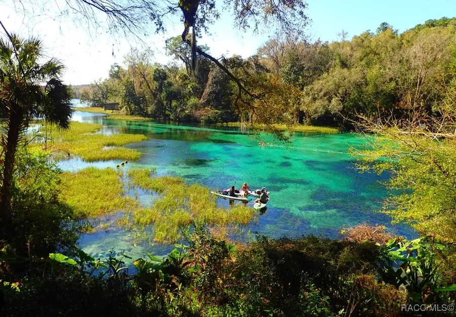 LOT #228 & #229 St. George Drive & San Mateo Boulevard, Dunnellon, FL 34432 - #3