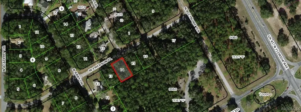 1330 W Emerson Place, Citrus Springs, FL 34434 - Image #1