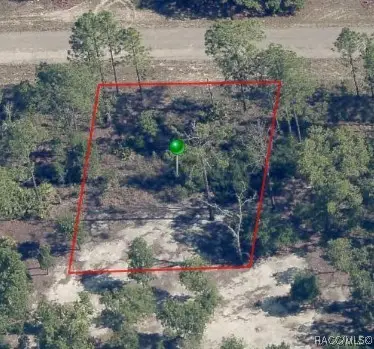 1820 W Pendleton Street, Pine Ridge, FL 34434 - Image #2