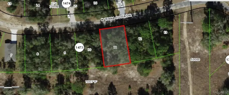 11230 N Terra Cotta Drive, Citrus Springs, FL 34434 - Image #2